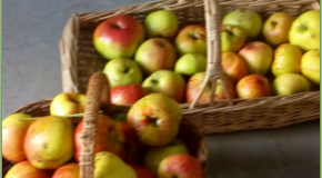 footer_image
