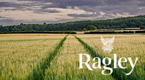 footer_image