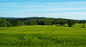 footer_image
