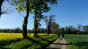 footer_image