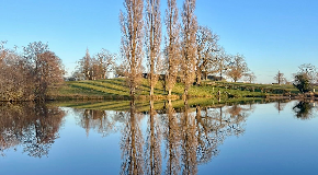 footer_image