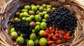 footer_image