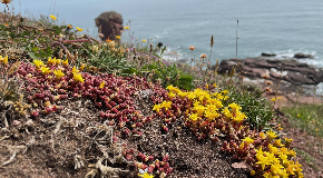 footer_image