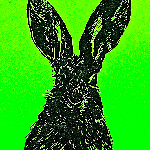 host icon