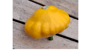 footer_image