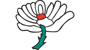 footer_image