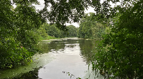 footer_image