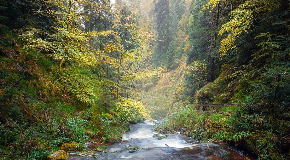 footer_image