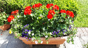 footer_image