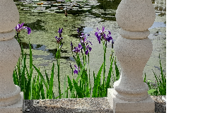 footer_image