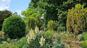 footer_image