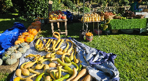footer_image