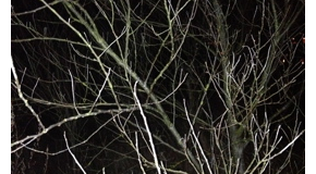 footer_image