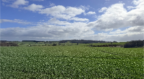footer_image