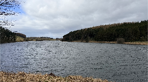 footer_image