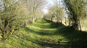 footer_image