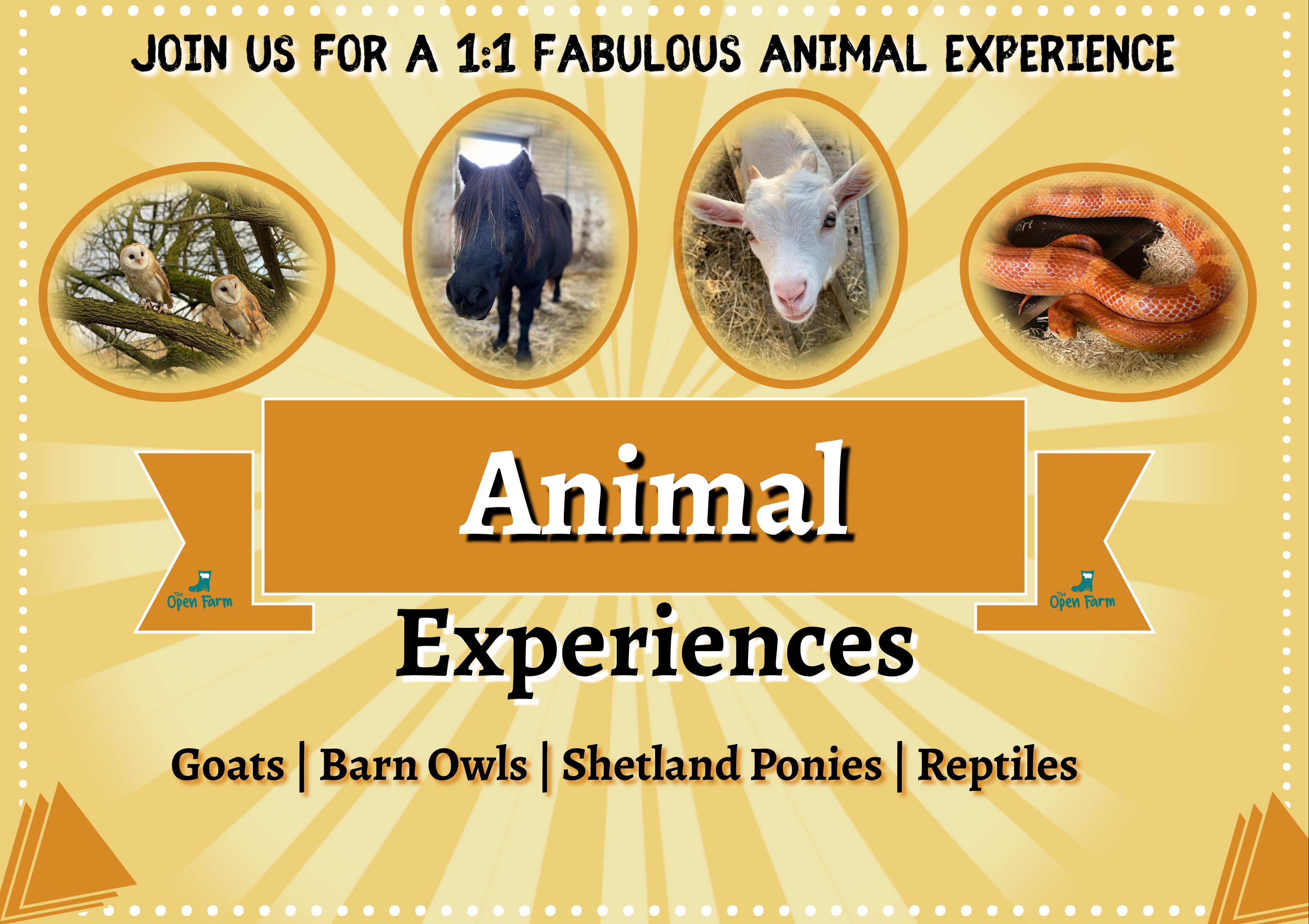 Animal Experiences Tickets, Greenlands Farm Village, Carnforth | TryBooking  United Kingdom