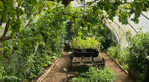 footer_image