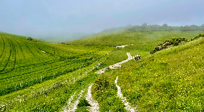footer_image