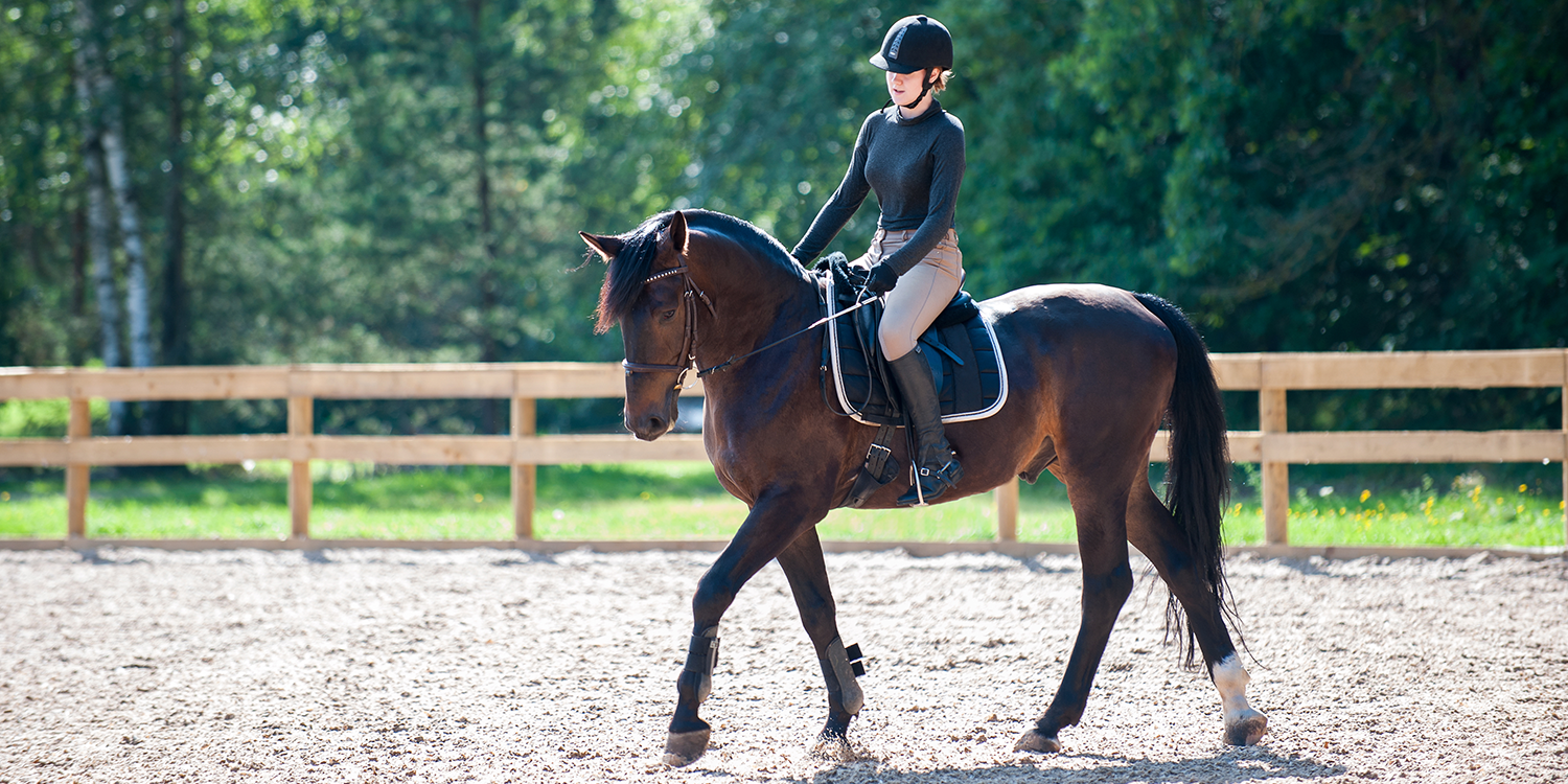 How TryBooking Supports Coaches and Trainers in Streamlining Equine Training Sessions