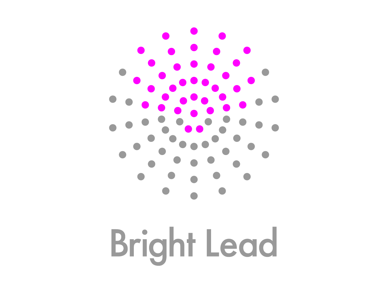 Bright Lead Ltd