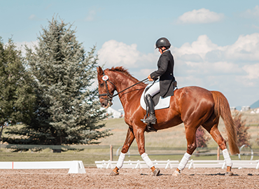 Equestrian Events