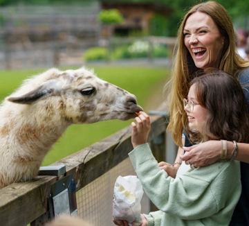 Farm events and activities