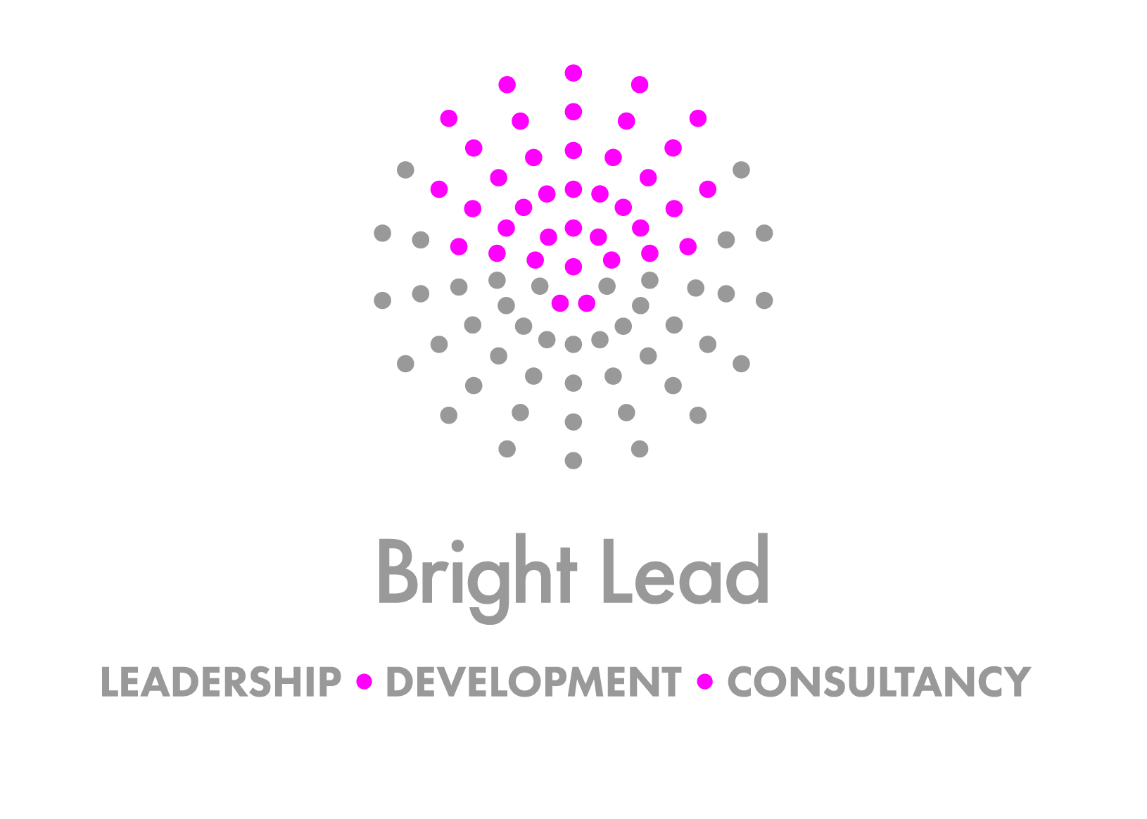 Bright Lead Ltd